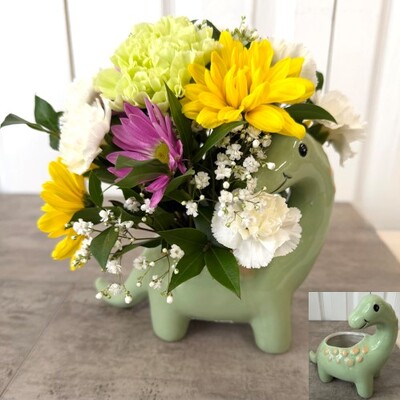 Dino Delight from Aladdin's Floral in Idaho Falls